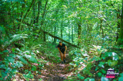 2025-08-23 KTRE 2025_120421_DSC07789